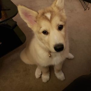 Meet your Posher, Angela